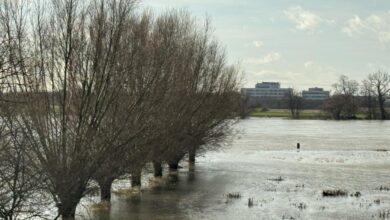 Ren nehrinde su seviyesi yükseldi - Leverkusen/ Foto: Hülya Sancak